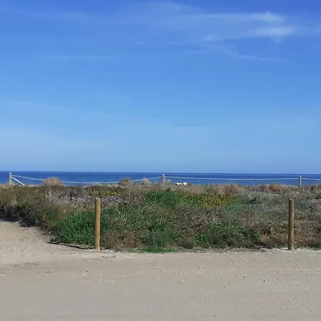 Oasis Playa Albaranas Dénia